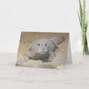 Carte d'anniversaire "Crocodile nain ouest-africai