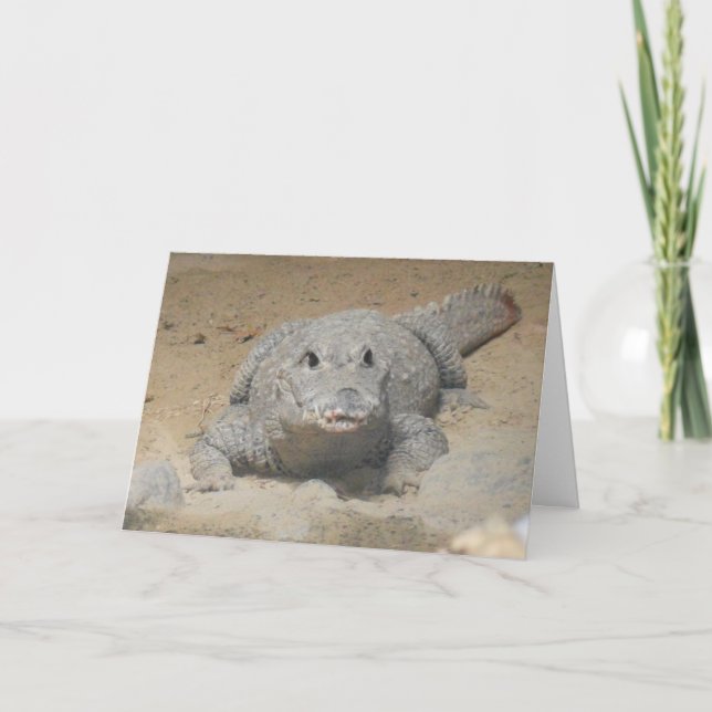 Carte d'anniversaire "Crocodile nain ouest-africai (Devant)