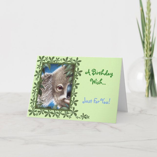 Carte d'anniversaire Curios Koala (Devant)