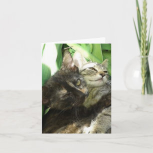 Carte d'anniversaire Cute Kittens Cuddday