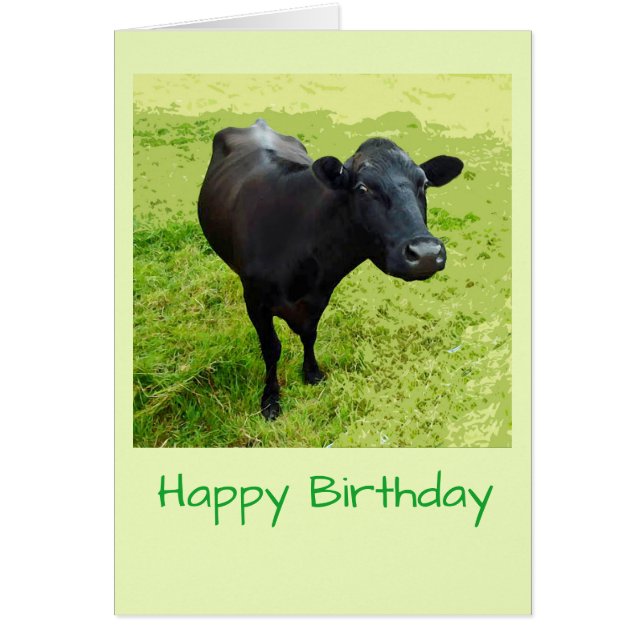 Carte d'anniversaire d'Aberdeen Angus (Devant)