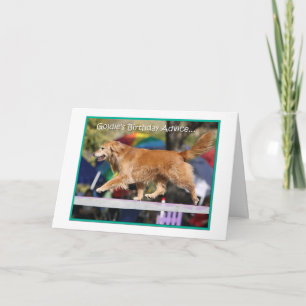 Carte d'anniversaire d'agilité de golden retriever