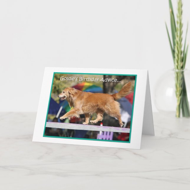 Carte d'anniversaire d'agilité de golden retriever (Devant)