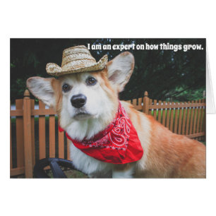 Carte d'anniversaire d'agriculteur de corgi