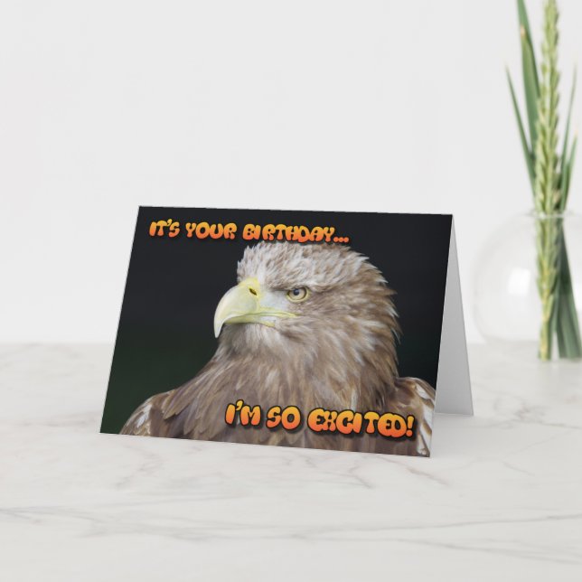 Carte d'anniversaire d'aigle à queue blanche (Devant)