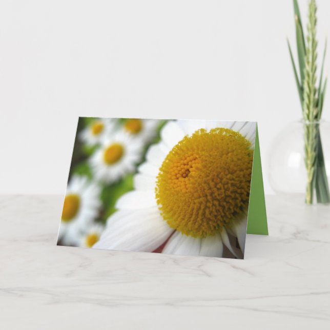 Carte d'anniversaire Daisy (Devant)