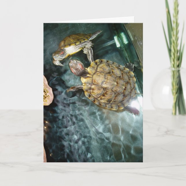Carte d'anniversaire “Dancing Turtles” (Devant)