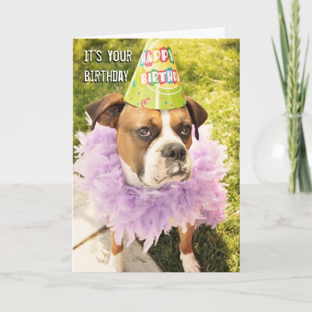 Carte d'anniversaire d'animal de fête (Devant)