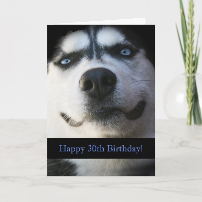 Carte d'anniversaire Darling Smiling Husky Funny 3 (Devant)
