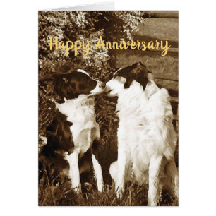 Carte d'anniversaire de baiser de colley