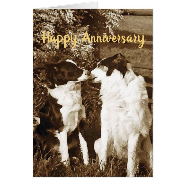 Carte d'anniversaire de baiser de colley (Devant)