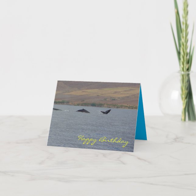 Carte d'anniversaire de baleines à bosse (Devant)