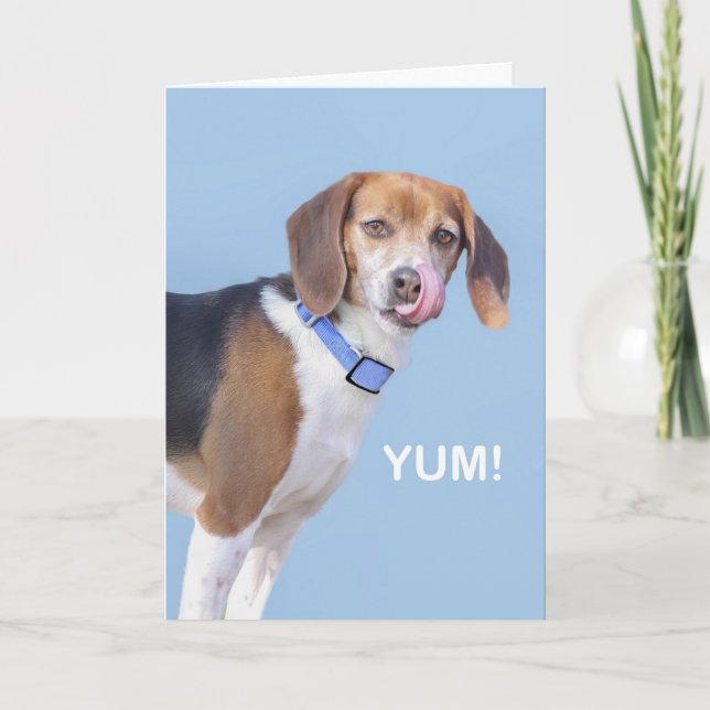 Carte d'anniversaire de beagle par le foyer pour (Devant)