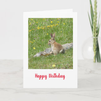 Carte d'anniversaire de bébé lapin sauvage
