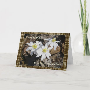 Carte d'anniversaire de belle-soeur de Bloodroot