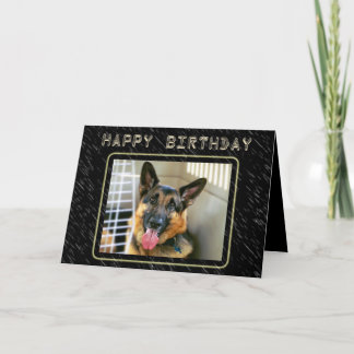 Carte d'anniversaire de berger allemand