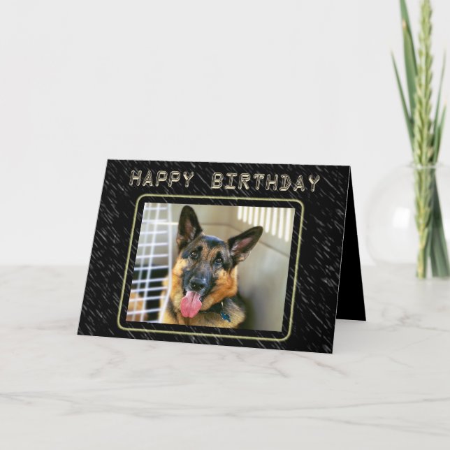 Carte d'anniversaire de berger allemand (Devant)