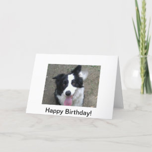 Carte d'anniversaire de border collie
