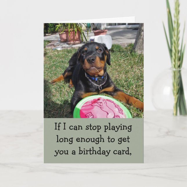 Carte d'anniversaire de Bossy Rottweiler (Devant)