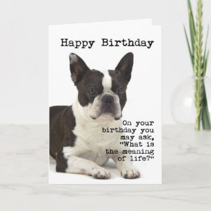 Carte d'anniversaire de Boston Terrier