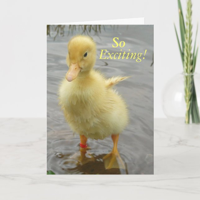 Carte d'anniversaire de canard de bébé (Devant)