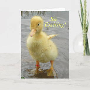 Carte d'anniversaire de canard de bébé