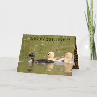 Carte d'anniversaire de canards mignons éblouissan