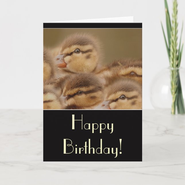 Carte d'anniversaire de canettes (Devant)
