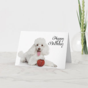Carte d'anniversaire de caniche
