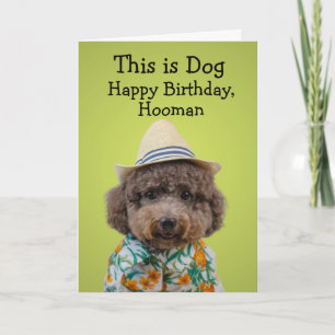 Carte d'anniversaire de caniche de jouets amusant