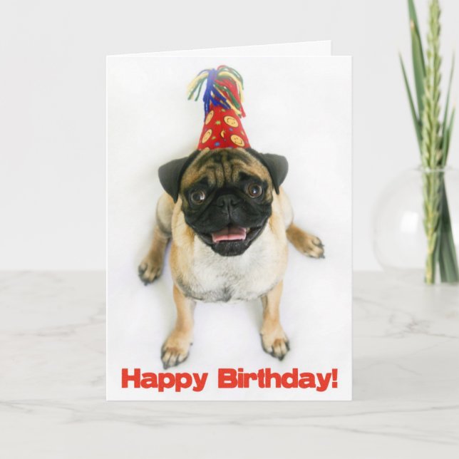 Carte d'anniversaire de carlin (Devant)