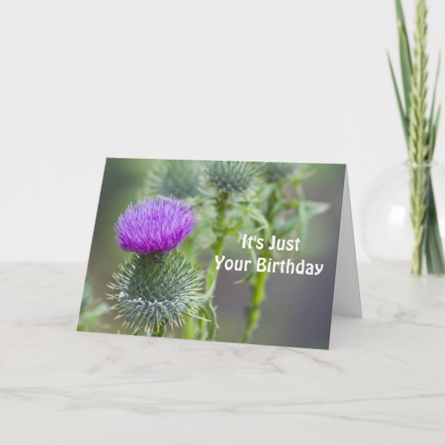 Carte d'anniversaire de chardon (Devant)