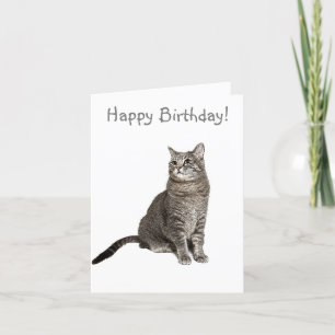 Carte d'anniversaire de chat Abyssinian
