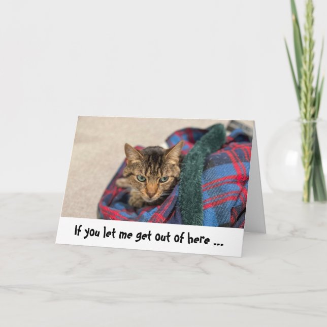 Carte d'anniversaire de chat amusant (Devant)