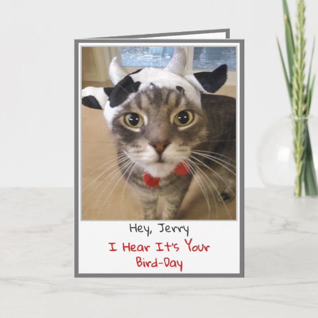 Carte d'anniversaire de chat amusant (Devant)