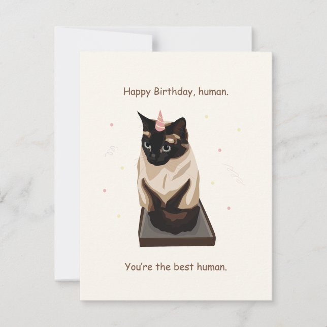 Carte d'anniversaire de chat amusant (Devant)