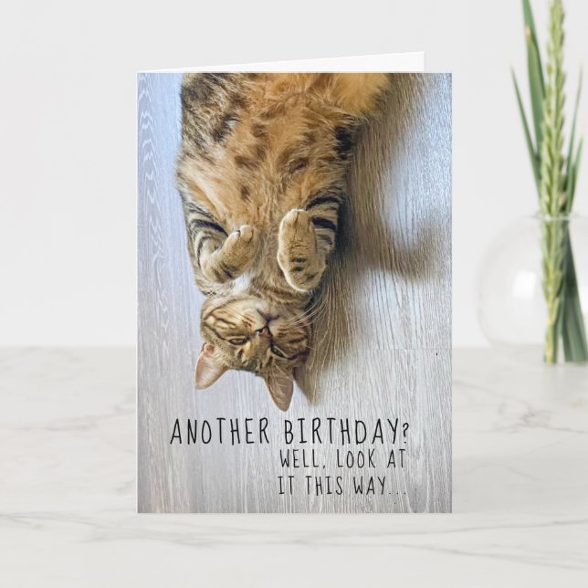 Carte d'anniversaire de chat amusant (Devant)