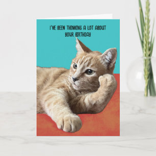 Carte d'anniversaire de chat amusant