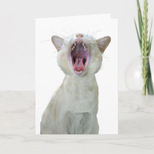 Carte d'anniversaire de chat birman