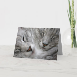 Carte d'anniversaire de chat de forêt