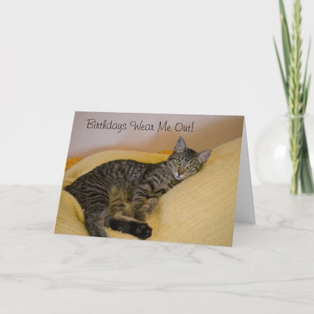 Carte d'anniversaire de chat fatigué (Devant)