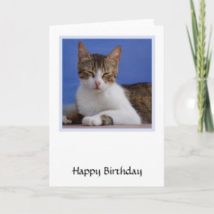 Carte d'anniversaire de chat grec