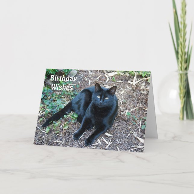 Carte d'anniversaire de chat noir 1 (Devant)