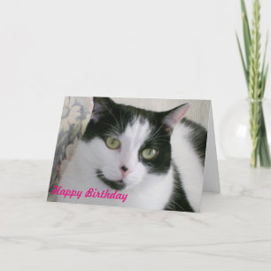 Carte d'anniversaire de chat noir et blanc