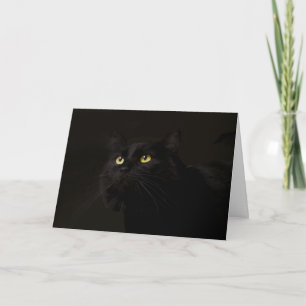 Carte d'anniversaire de chat noir par point pour u