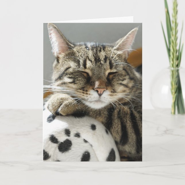 CARTE D'ANNIVERSAIRE DE CHAT TABBY (Devant)