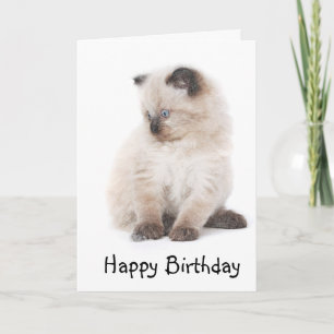 Carte d'anniversaire de chaton de Ragdoll