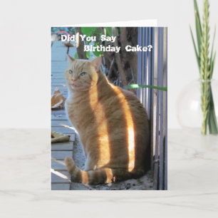 Carte d'anniversaire de chats gras - Faisons la fê