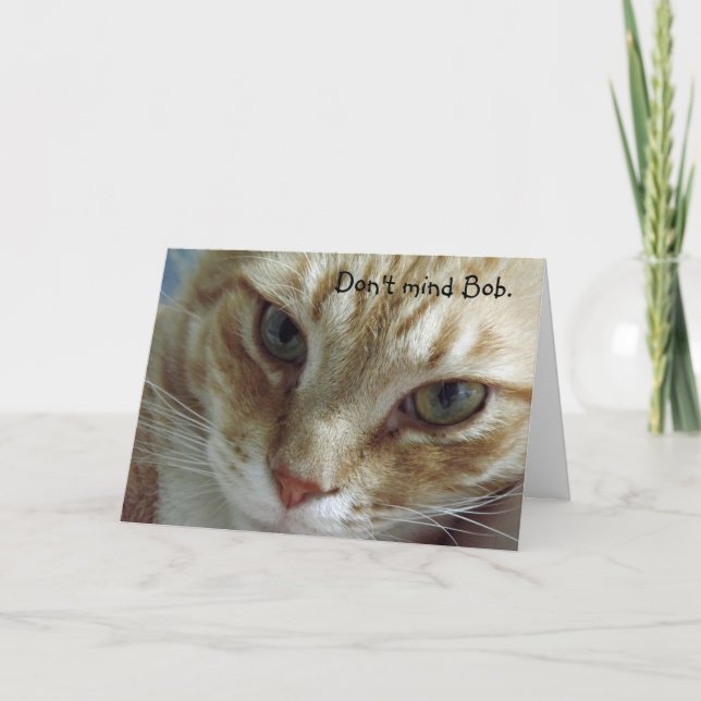 Carte d'anniversaire de chats humoristiques (Devant)