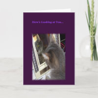Carte d'anniversaire de chats pour elle
